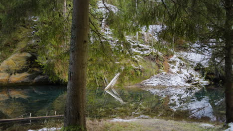 Vidzeme-Von-Lettland-Im-Monat-Januar