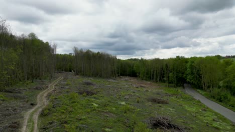 slow drone footage over deforestation with low dark clouds