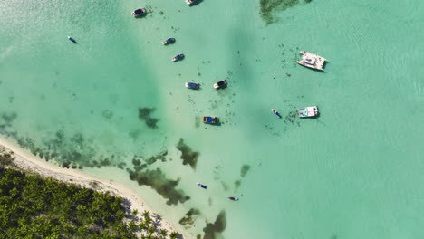 anchored catamaran boats over shallow water beach in saona island, dominican republic