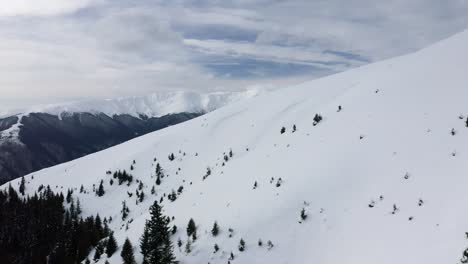 Snow-covered-Iezerul-Mare-peak-with-coniferous-trees-in-Iezer-Papusa-mountains,-serene-winter-scene