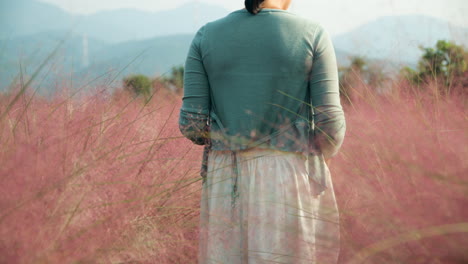 vista trasera en primer plano de una mujer coreana caminando por un campo de muhly rosa en cámara lenta en la granja de la isla de pocheon herb