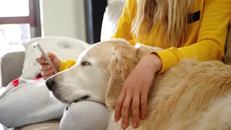 Woman-sitting-on-the-sofa-with-her-dog-and-using-mobile-phone-4k