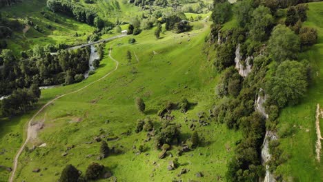 view of green meadow valley with trekking path and river