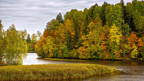 Paisaje-Otoñal-Junto-Al-Río-Del-Bosque-En-El-Parque-Natural-Daugavas-Loki,-Letonia