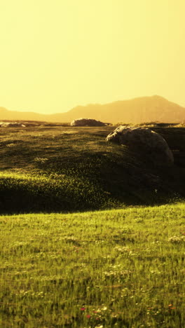 tranquil sunset landscape with rolling hills and grass fields