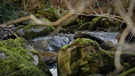 Fließender-Bach-Zwischen-Moosigen-Felsen-In-Der-Wildnis