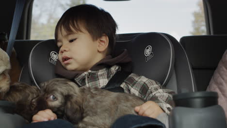 A-little-boy-is-riding-in-a-child-seat,-with-several-cute-puppies-with-him.