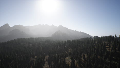 aerial view of a forest and mountain range