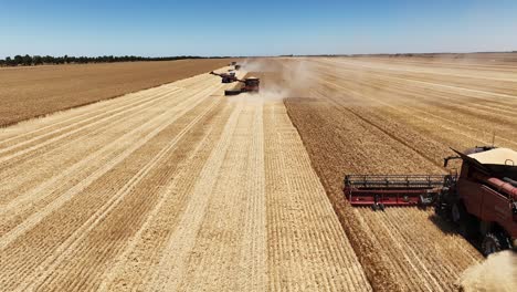 experience the precision and power of a large-scale grain harvesting operation as the fields come alive with activity