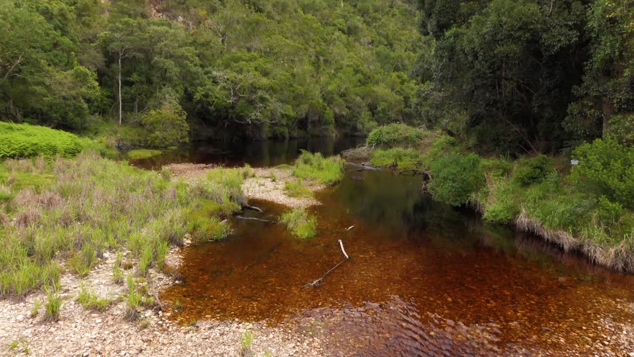 arroyos de montaña de la selva tropical