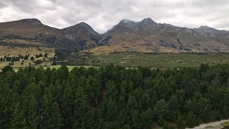 beech forests canopy and south island alps of new zealand near glenorchy