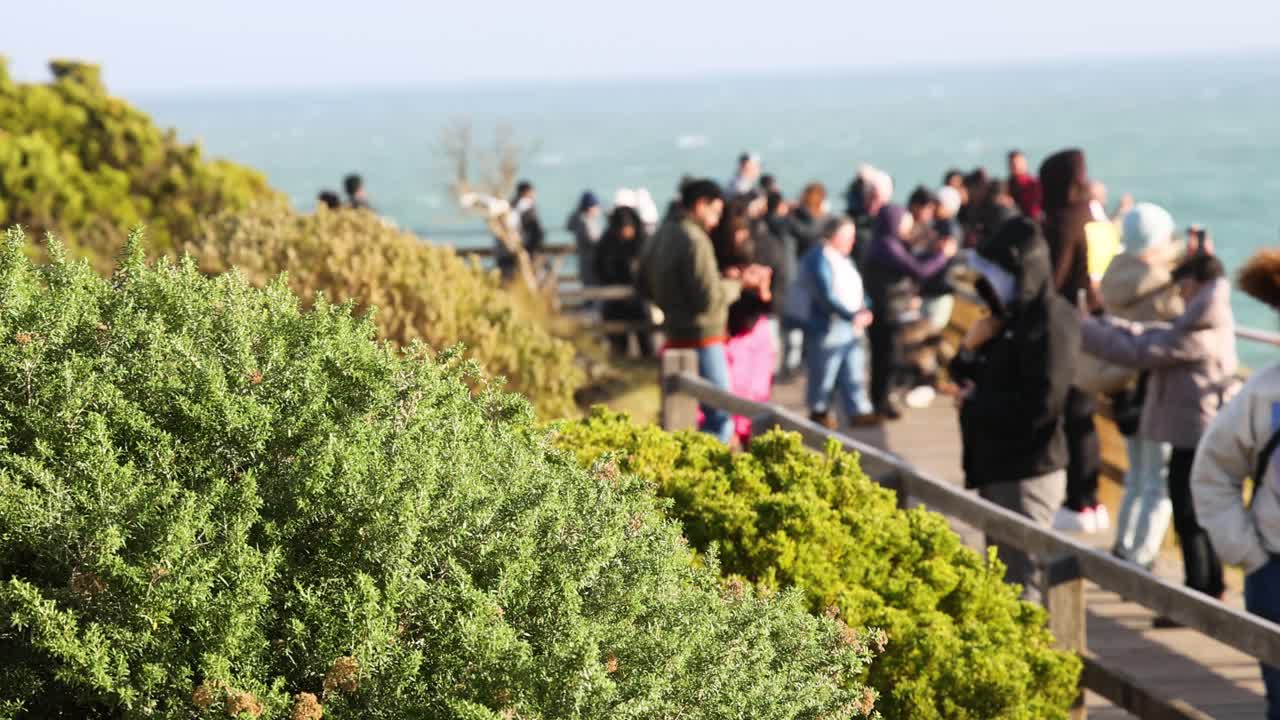 12 사도 들 의 경치 를 즐기는 군중