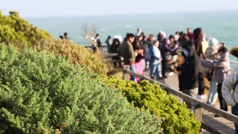 multitud disfrutando de la vista panorámica de los doce apóstoles