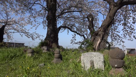 small rock statues or tombstones inside green nature setting outside