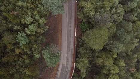 aerial top view along country forest road