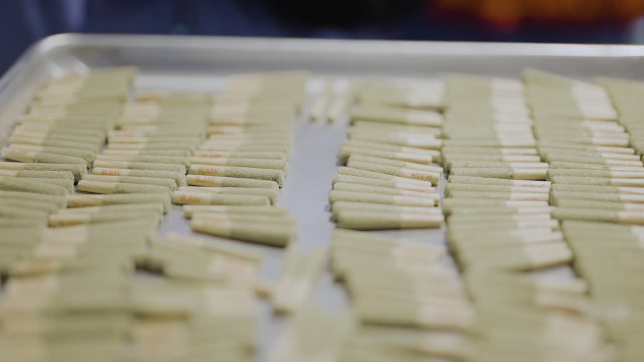 Pre-roll joints kief infused on tray, Cannabis production, Revealing shot