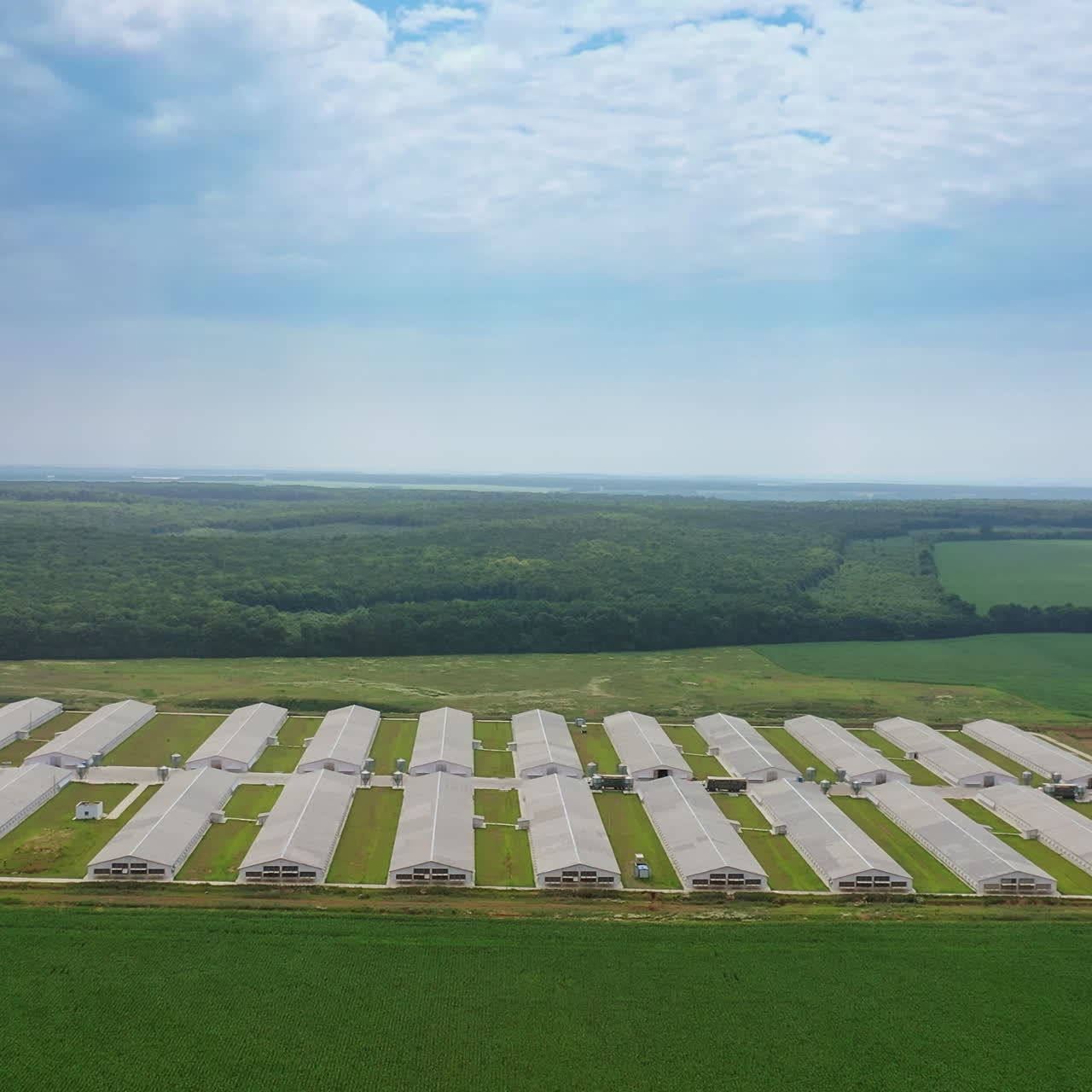 Large industrial complex on the natural green background. Exterior of modern farmhouses in the countryside in summer. Camera is rising up slowly.