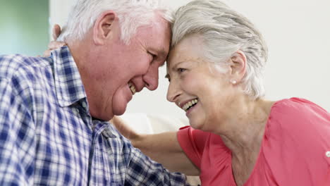 una pareja de ancianos felices mirándose el uno al otro.