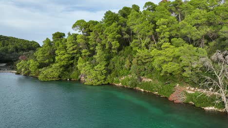 coastal forest and river views