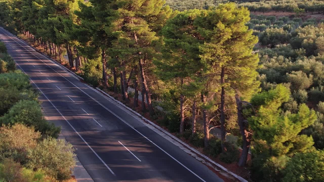 Vista aerea di auto che guidano su una strada fiancheggiata da pini e uliveti