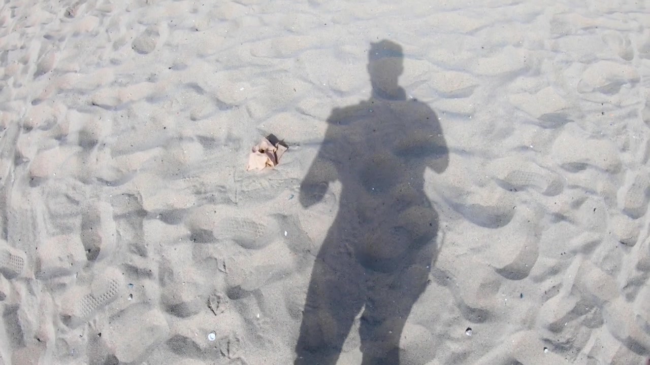 Ombra che cammina sulla spiaggia di Venice
