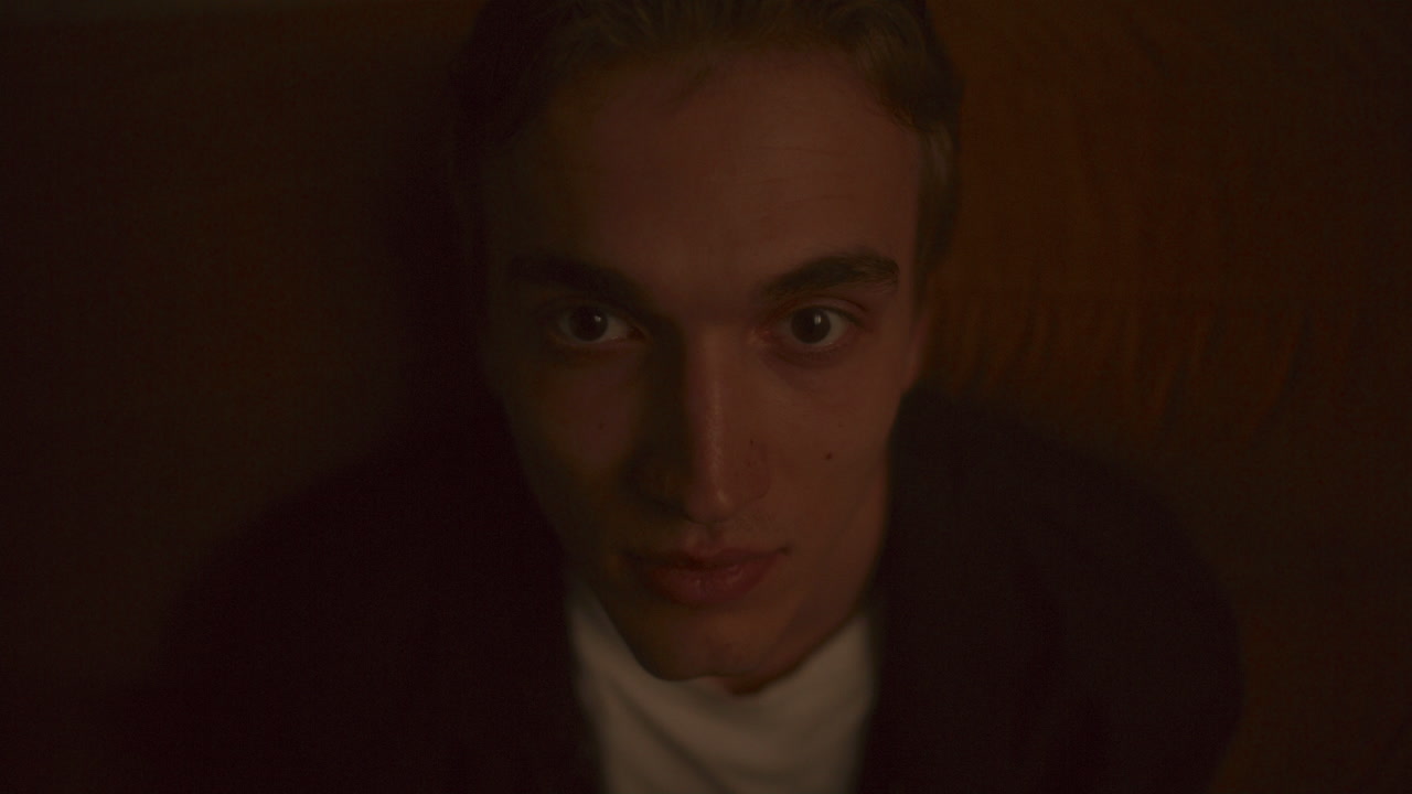 Portrait of Young Man Leaning Back on Sofa and Looking into Camera