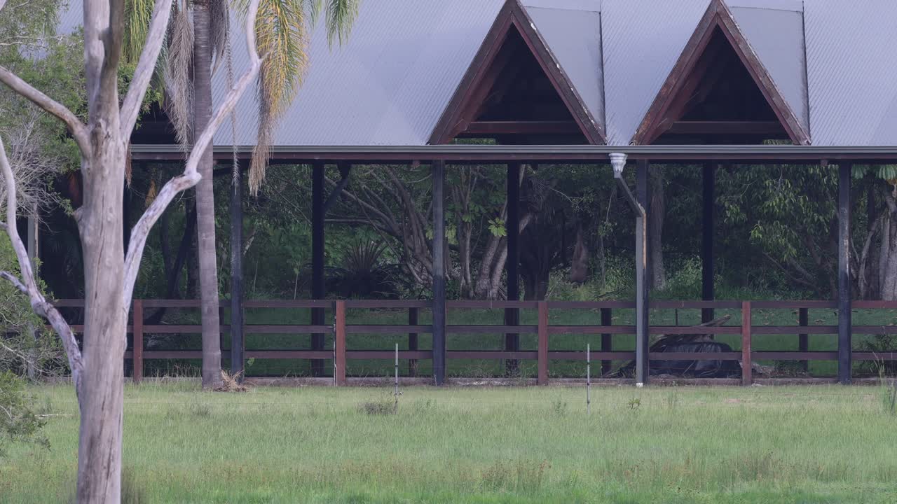울창 한 초록색 으로 둘러싸인 조용 한 창고