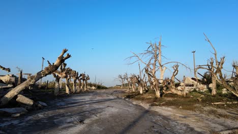 camino a través de epecuen histórica ciudad inundada buenos aires