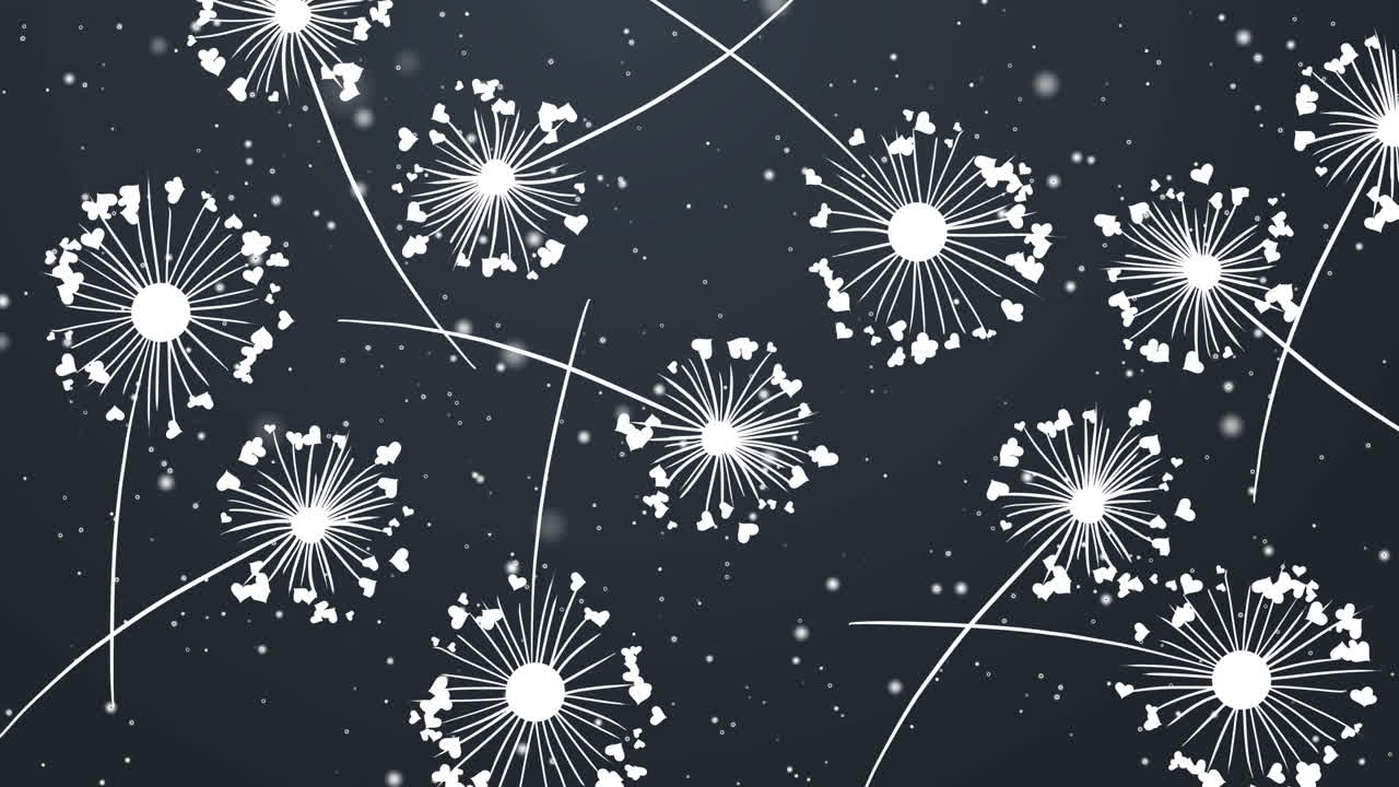 Dandelion with hearts. Happy Valentine's day greeting card. Lovely romance. Dark blue romantic loop background.