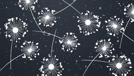 dandelion with hearts. happy valentine's day greeting card. lovely romance. dark blue romantic loop background.