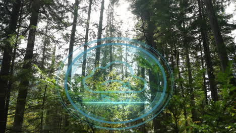cloud computing symbol animation over lush green forest with tall trees