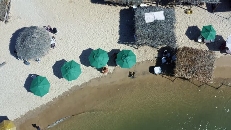 Bird's eye aerial drone shot of the beautiful tropical Restinga beach with green and thatch umbrella for shade and crystal clear water near Barra do Cunhaú in Rio Grande do Norte, Brazil