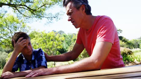 Padre-Consolando-A-Su-Hijo-En-Un-Picnic-En-El-Parque-4k