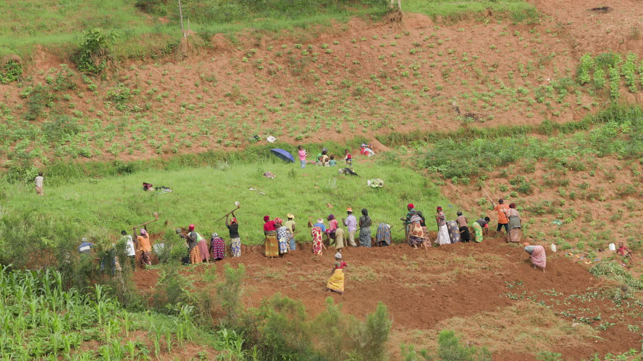 농촌 르완다에서 언덕을 경작하는 사람들의 그룹의 와이드 샷