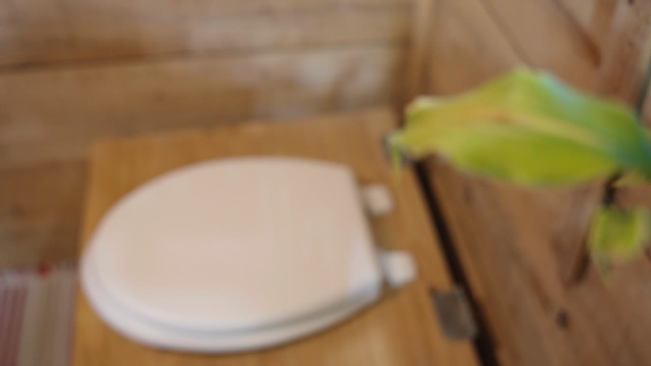 inodoro seco casero en una casa de madera, plan para ilustrar una acción positiva en el medio ambiente.