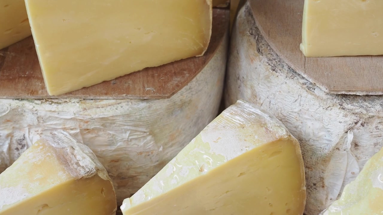 Assortimento di forme di formaggio stagionato in esposizione