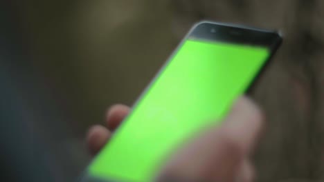 persona que sostiene un teléfono inteligente con pantalla verde
