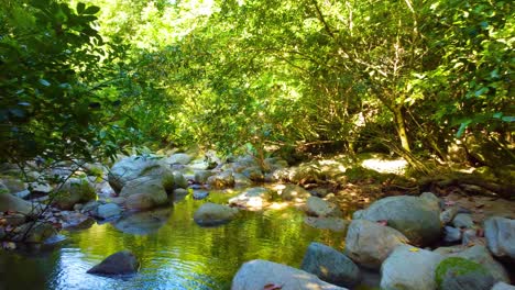 POV-walking-creek-river-stream-Minca,-Colombia-nature-of-South-America