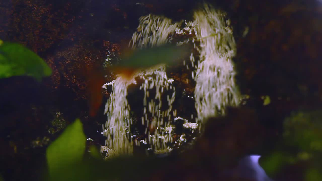 cascada submarina, una decoración creativa para el acuario en casa usando arena y bomba