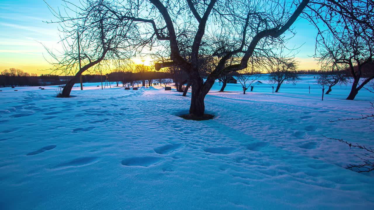 lapso de tiempo, amanecer a través de árboles sin hojas en el campo de nieve, sombras de árboles moviéndose a lo largo de la superficie de la nieve, invierno