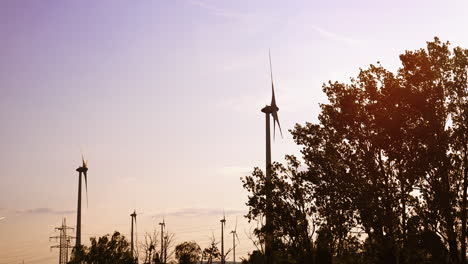 wind turbines stand tall at sunset. wind turbines rotate against a backdrop of a vibrant sunset, surrounded by trees and power lines in the distance