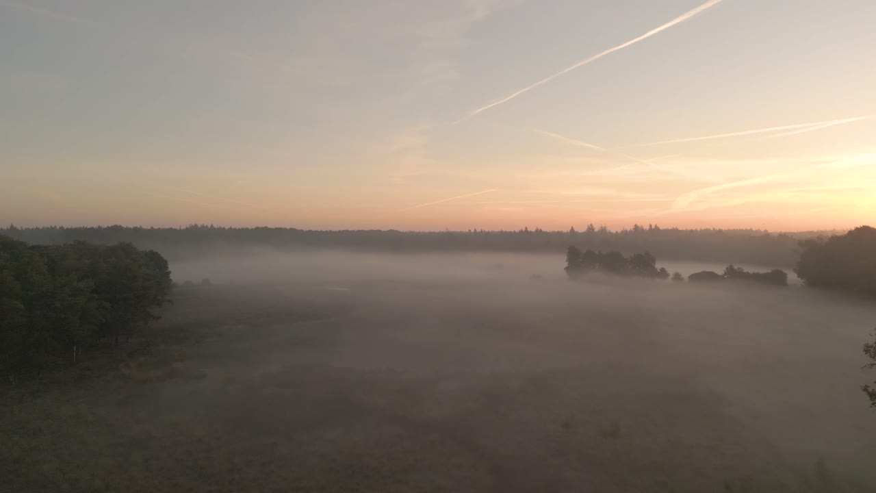 숲 계곡 위 의 안개 가 가득 한 해가 뜨는 것