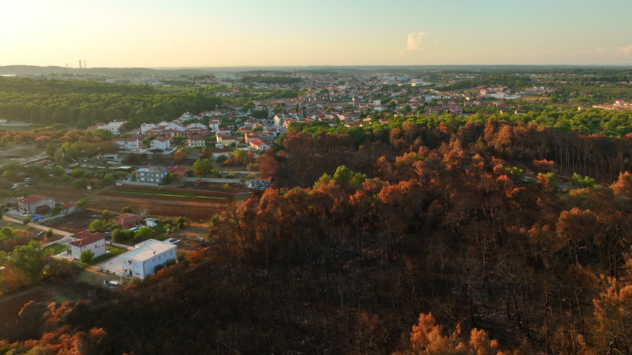 Aftermath of a Forest Fire in a Residential Area