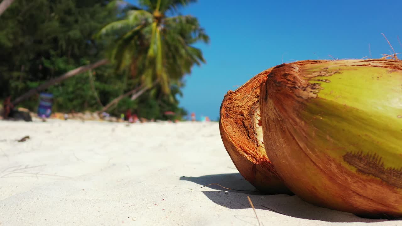 One cracked coconut on the white sand tropical beach, close up background shot. Caribbean