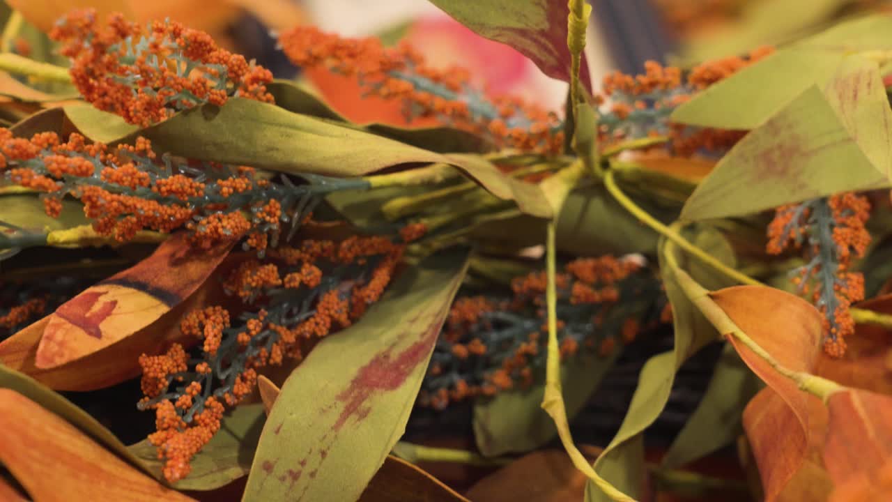 Tight shot of various festive décor for Halloween