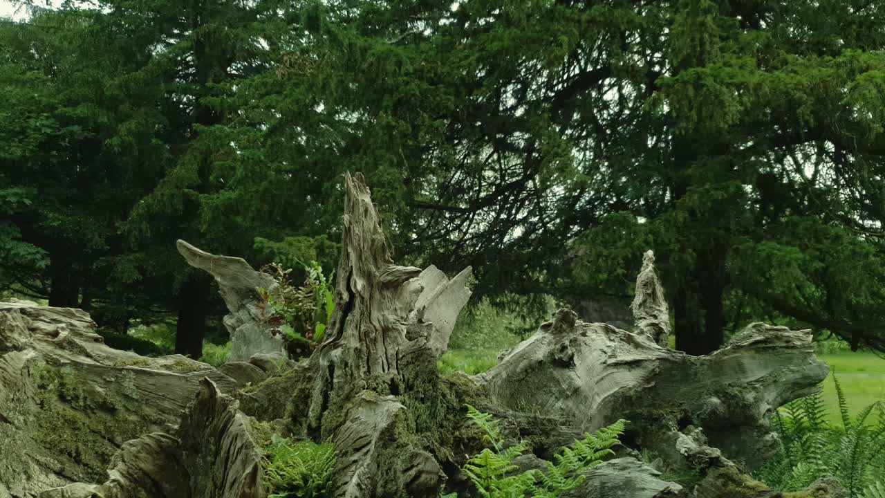 pasó algún tiempo en una casa señorial y los terrenos