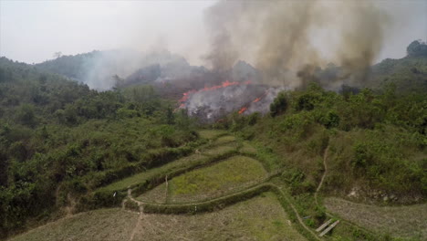 Una-Excelente-Antena-Sobre-Una-Escena-De-La-Jungla-Con-Un-Incendio-Forestal-Ardiendo