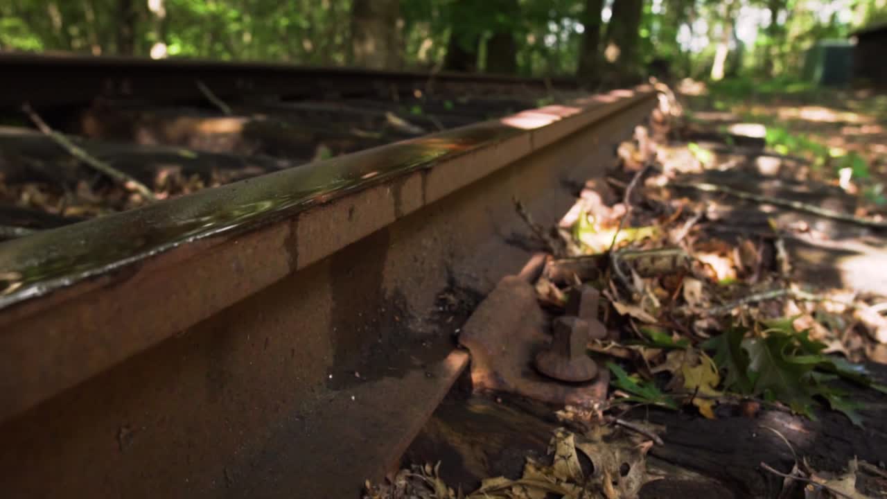 숲 속 의 녹은 철도 철도