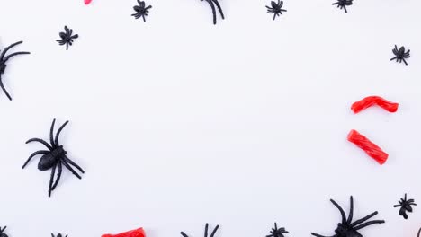 Animation-of-spiders-on-white-background