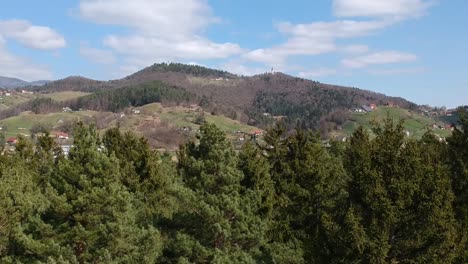 Drone-video-lifting-up-through-the-trees-and-capturing-nice-landscape